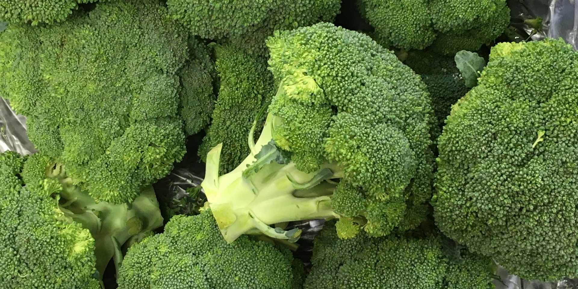 ブロッコリーの写真